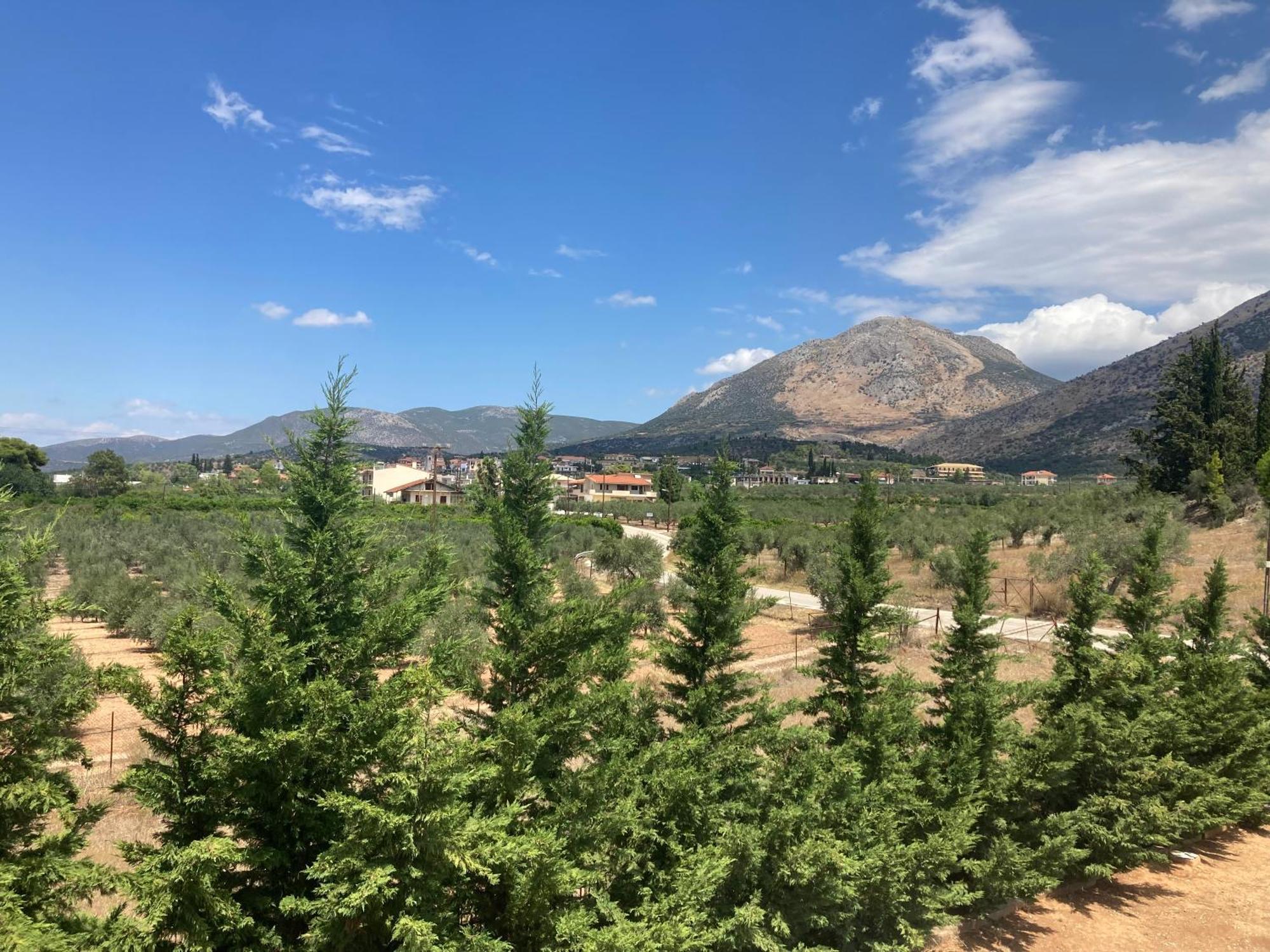 Enchanting Mycenae - Your Greek Holiday Retreat Argos Exterior foto